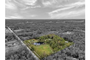 655 Appaloosa Rd, TARPON SPRINGS