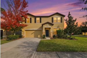 9118 Mountain Magnolia Dr, RIVERVIEW