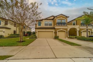 11437 Crowned Sparrow Ln, TAMPA