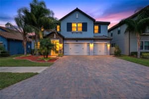 18215 Leafmore St, LUTZ