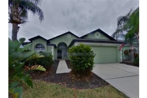 , WESLEY CHAPEL , WESLEY CHAPEL