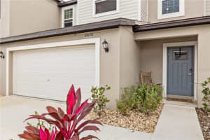 10070 Trumpet Honeysuckle Way, WESLEY CHAPEL 10070 Trumpet Honeysuckle Way, WESLEY CHAPEL