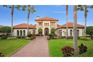 1207 Merry Water Dr, LUTZ