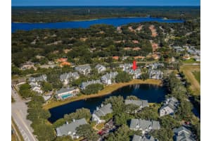 3304 Haviland Ct #103, PALM HARBOR