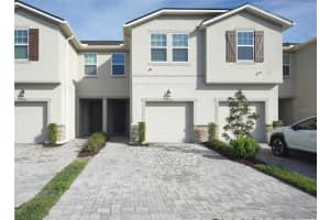 25967 Woven Wicker Bnd, LUTZ 25967 Woven Wicker Bnd, LUTZ