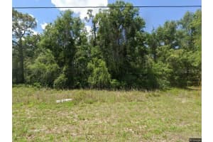 Idle A While Cir, DADE CITY