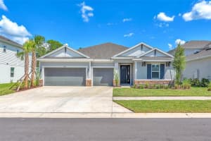 33372 Landsman Loop, WESLEY CHAPEL