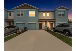 4419 Rachel Falls Dr, TAMPA