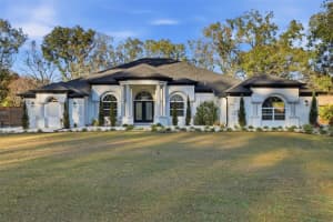 28233 Sonny Dr, WESLEY CHAPEL 28233 Sonny Dr, WESLEY CHAPEL