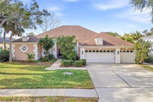 4092 Carlyle Lakes Blvd, PALM HARBOR