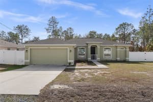 13124 Snowy Plover Ave, WEEKI WACHEE
