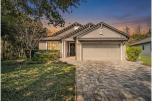 8432 Auburn Rise Ct, LAND O LAKES