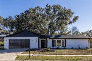 9209 Kingsridge Dr, TEMPLE TERRACE