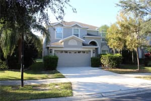 20420 Carolina Cherry, TAMPA