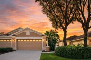 19128 Lake Audubon Dr, TAMPA