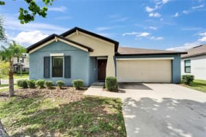 10119 Rose Petal Pl, RIVERVIEW