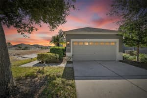 13701 Crest Lake Dr, HUDSON 13701 Crest Lake Dr, HUDSON