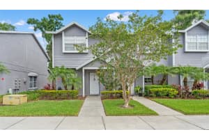 3409 Arbor Oaks Ct #0, TAMPA