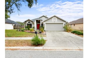 1814 Candlestick Ct, LUTZ