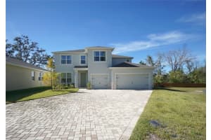 22990 Scaglione Dr, LUTZ