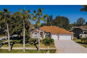 2700 Jarvis Cir, PALM HARBOR 2700 Jarvis Cir, PALM HARBOR