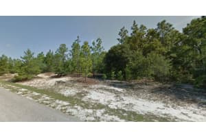 3499 W Webster Pl, CITRUS SPRINGS