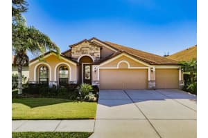 6728 Wild Elm Ct, WESLEY CHAPEL