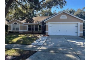 1306 Gangplank Dr, VALRICO 1306 Gangplank Dr, VALRICO