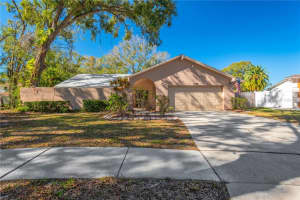 3206 Shady Glen Cir, TAMPA