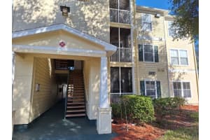 18387 Bridle Club #18387, TAMPA