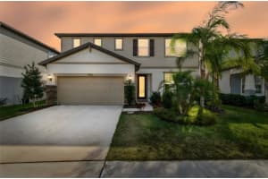 14161 Hammock Crest Way, RIVERVIEW