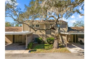 8606 Palm Ln, TEMPLE TERRACE