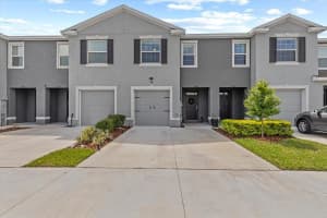 33064 Tulip Petal Ln, WESLEY CHAPEL