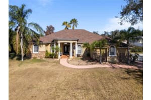 14206 Melouga Preserve Trl, DOVER