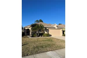 23835 Coral Ridge Ln, LAND O LAKES