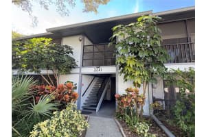 3241 Fox Chase Circle N #204, PALM HARBOR