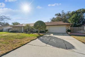 6611 Peachtree Dr, TEMPLE TERRACE 6611 Peachtree Dr, TEMPLE TERRACE