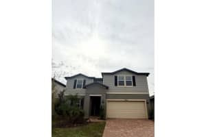 10843 Rolling Moss Rd, TAMPA