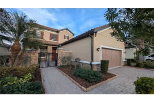 8530 Grand Alberato Rd, TAMPA