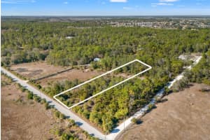 9287 Long Lake Ave, WEEKI WACHEE