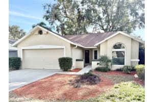 9810 Terrace Trail Ln, TEMPLE TERRACE 9810 Terrace Trail Ln, TEMPLE TERRACE