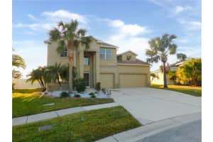 11016 Holly Cone Dr, RIVERVIEW