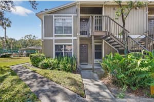 14319 Hanging Moss Cir #102, TAMPA