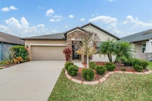 32123 Goddard Dr, WESLEY CHAPEL