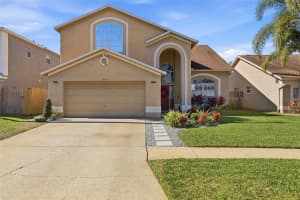 11235 Clayridge Dr, TAMPA