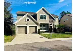 14909 Smitter Reserve Dr, TAMPA 14909 Smitter Reserve Dr, TAMPA