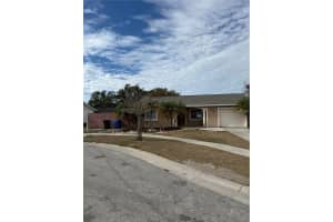 11204 Millridge Dr, TAMPA