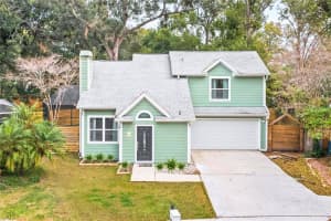 1303 W Carissa Ct, TAMPA