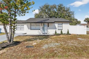 10111 Pine Trails Ct, TAMPA