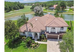 9105 Woodridge Run Dr, TAMPA